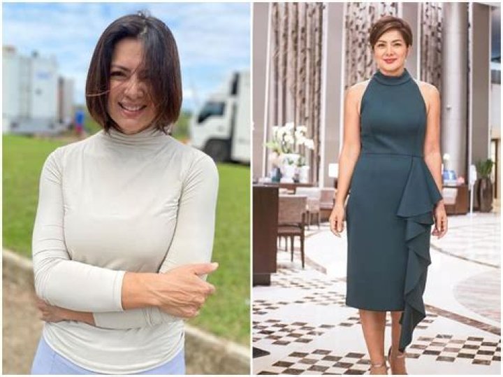 Alice Dixson Net Worth, Age, Height, Weight, Family, Wiki 2024