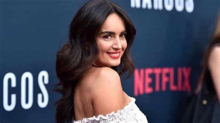 Ana de la Reguera Net Worth, Age, Height, Weight, Family, Wiki 2024