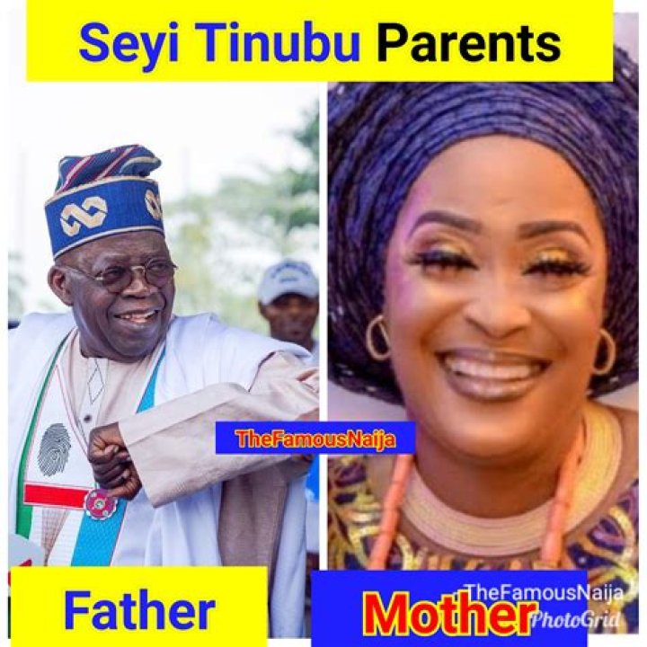 Seyi Tinubu Net Worth, Age, Height, Wife, Family, Wiki 2024