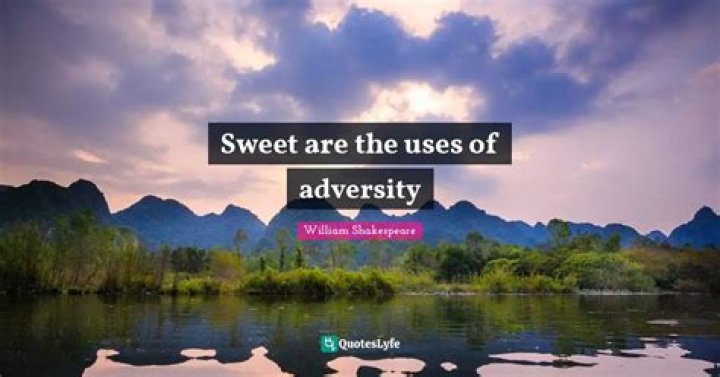 Sweet Are The Uses of Adversity Essay and Composition